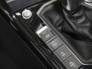 2020330TSI Ş v܇Ƅ