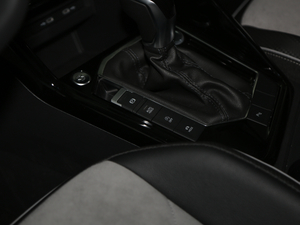 2020330TSI F v܇Ƅ