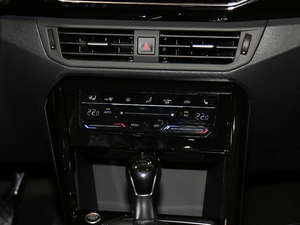 2020330TSI (q)A(lin) {(dio){(dio)(ji)