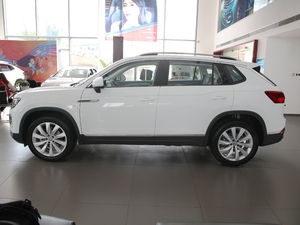 2020330TSI (q)A(lin)Pro (c)