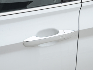 2020款200TSI DSG舒适型 国VI 主驾门拉手