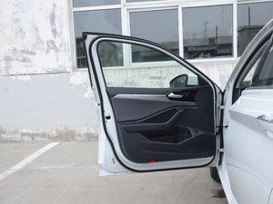 2020款200TSI DSG舒适型 国VI 驾驶位车门