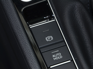 2020200TSI DSGm VI v܇Ƅ