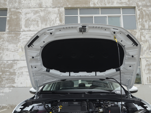 2020款200TSI DSG舒适型 国VI 其它