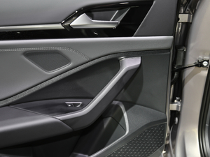 2020280TSI DSGA (gu)VI g