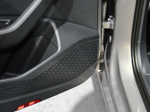 2020280TSI DSGA (gu)VI g