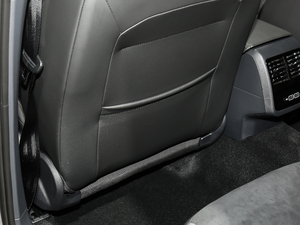 2020280TSI DSGA (gu)VI g