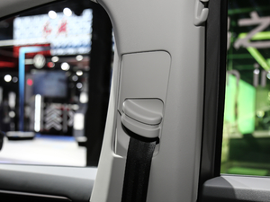 2020280TSI DSGA VI g