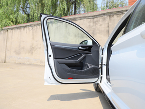 2020款280TSI DSG R-Line 国VI 驾驶位车门