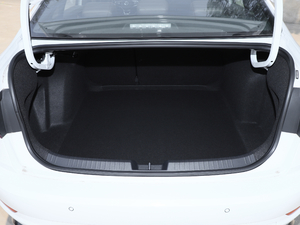 2020280TSI DSG R-Line VI g