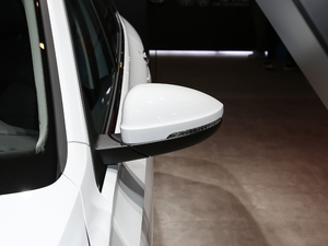 2020款280TSI DSG豪华型 国VI 后视镜