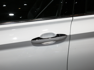 2020款280TSI DSG豪华型 国VI 主驾门拉手