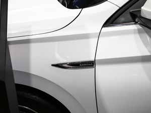 2020款280TSI DSG豪华型 国VI 细节外观