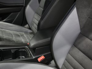 2020280TSI DSGA (gu)VI 