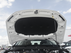 2020款280TSI DSG舒适型 国VI 其它