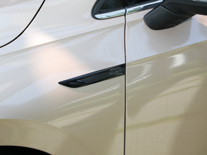 2021280TSI DSG R-Line ^