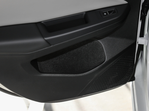 2021280TSI DSG Pro g