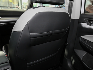 2021280TSI DSG Pro g