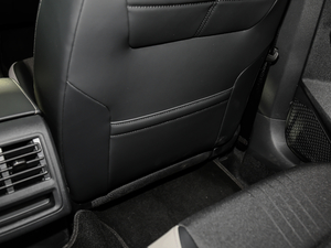 2021280TSI DSG Pro g