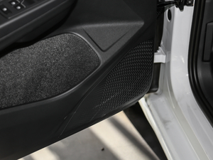 2021280TSI DSG Pro g