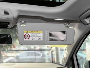 2021280TSI DSG Pro g