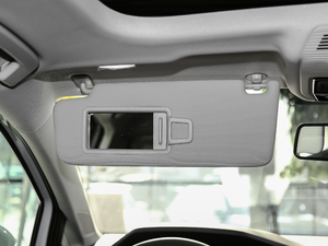 2021280TSI DSG Pro g