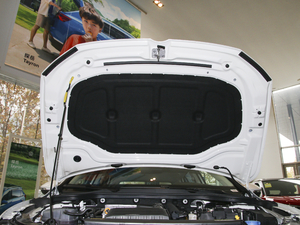 2021280TSI DSG Pro װl 