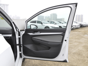 2021200TSI DSG Pro g