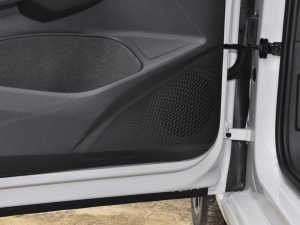 2021200TSI DSG Pro g