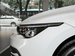 2021280TSI DSG 30o ^