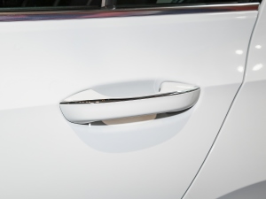 2021280TSI DSG 30o ^