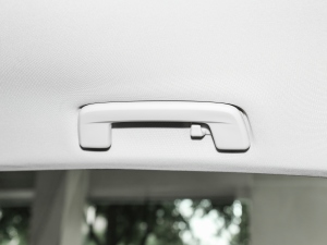 2021280TSI DSG 30o g