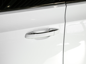 2021款330TSI 上市特别版 主驾门拉手