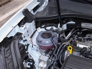 2021��1.4T ���F�� ����