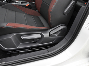 2021280TSI DSGӢ {{