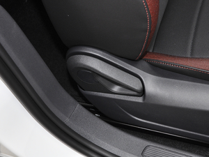 2021280TSI DSGӢ(lin) g