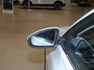 2021200TSI DSGӢ ^