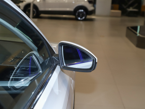 2021200TSI DSGӢ ^