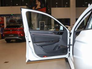 2021200TSI DSGӢ g