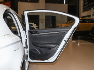 2021200TSI DSGӢ g