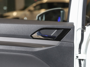 2021200TSI DSGӢ g