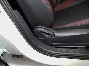 2021200TSI DSGӢ g