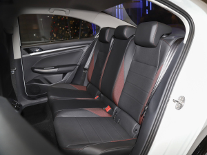 2021200TSI DSGӢ g