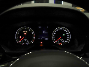 2021200TSI DSGӢ(lin) x