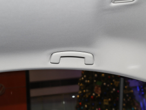 2021200TSI DSGӢ g