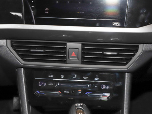 2021200TSI DSGӢ(lin) {(dio)L