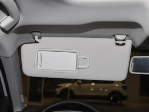 2021200TSI DSGӢ g