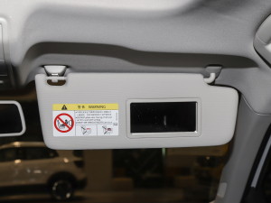 2021200TSI DSGӢ g