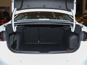 2021200TSI DSGӢ(lin) g