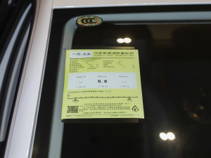 2021200TSI DSGӢ(lin) ŲͺĘʾ